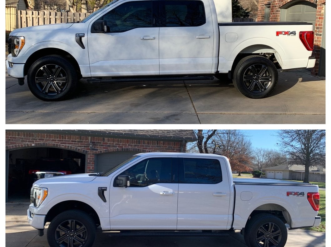 Mammoth 2.50-Inch Front Leveling Kit (04-25 2WD/4WD F-150, Excluding Raptor)