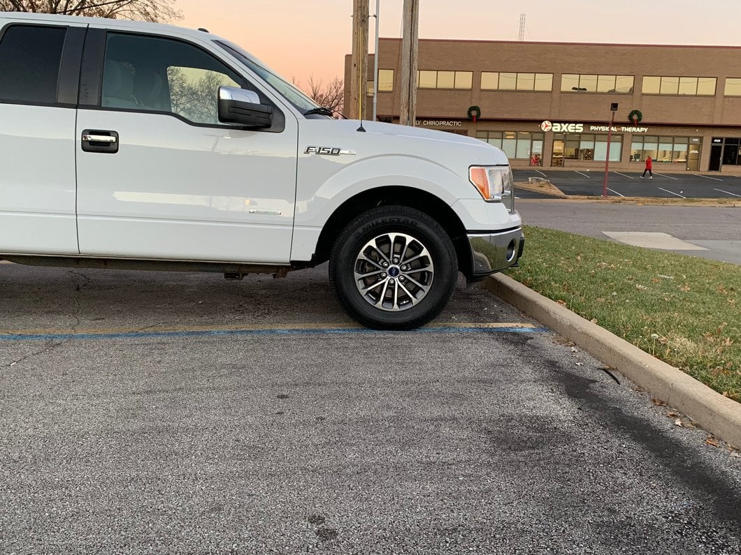 Mammoth 2.50-Inch Front Leveling Kit (04-25 2WD/4WD F-150, Excluding Raptor)